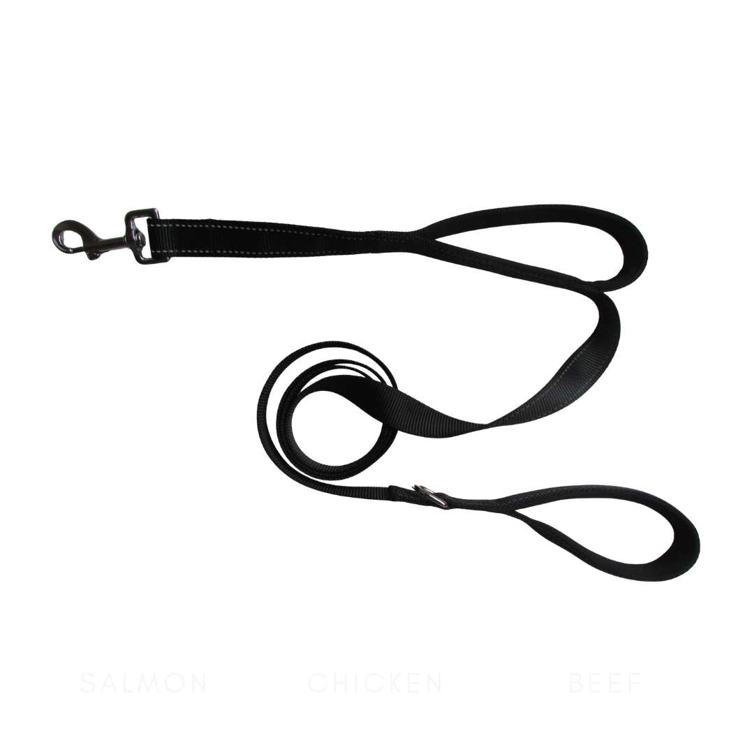 Reflective Dual Handle Dog Leash