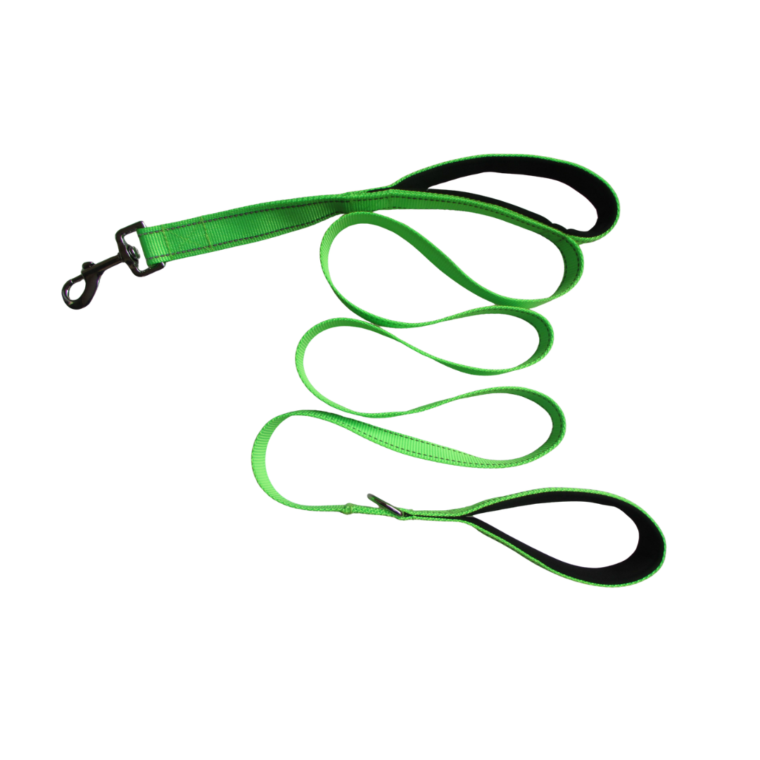 Reflective Dual Handle Dog Leash