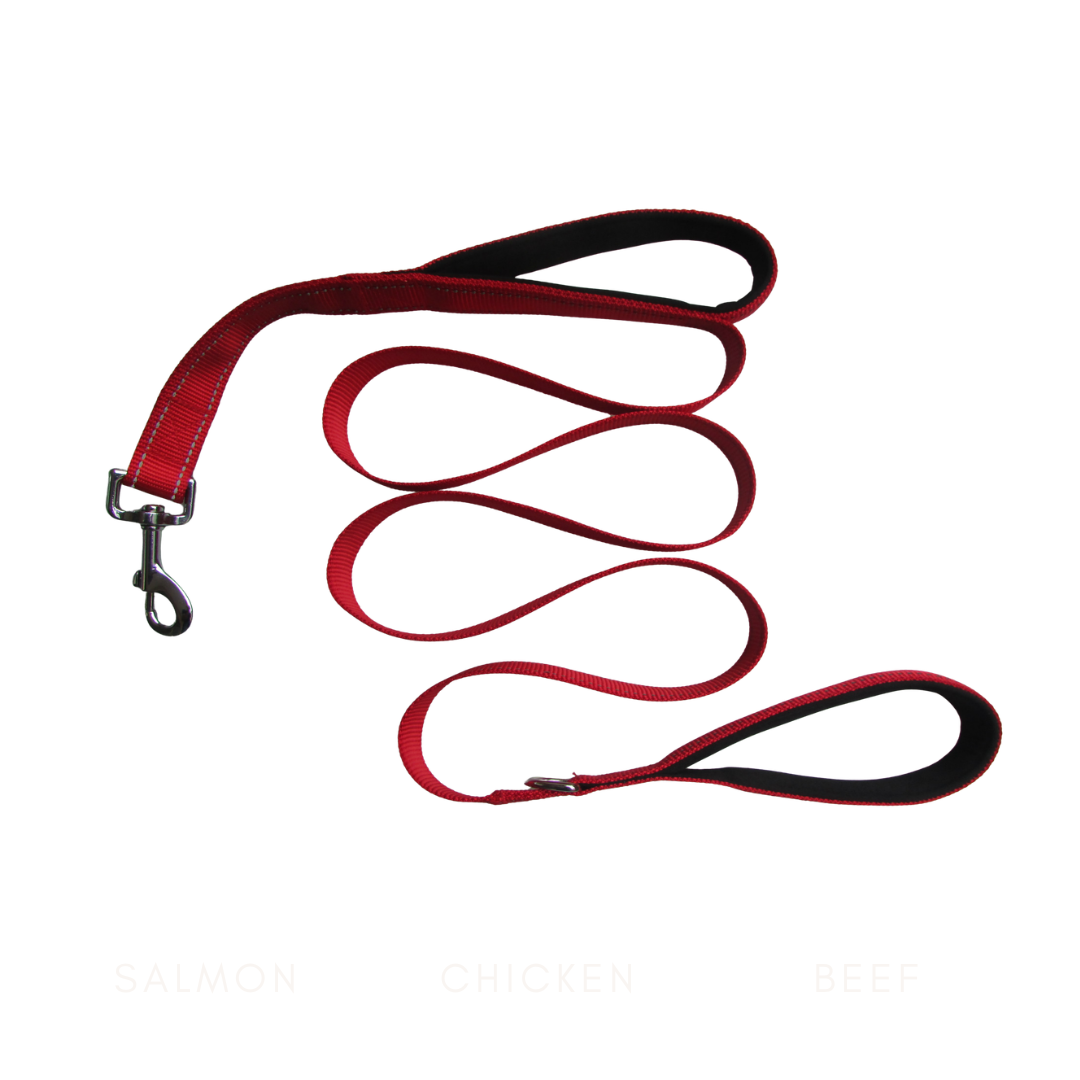 Reflective Dual Handle Dog Leash